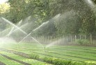 Claremont Meadowslandscaping-water-management-and-drainage-17.jpg; ?>